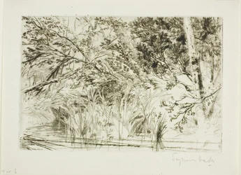 Boca de um riacho, No. II