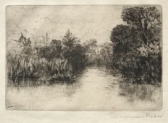 Lagoa Shere Mill (um pequeno estudo)