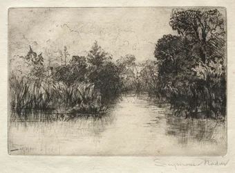 Shere Mill Pond Um pequeno estudo.