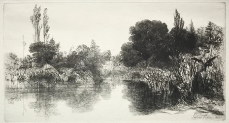 Lagoa do moinho de Shere a placa maior, 1860.