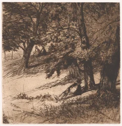 Sob o casaco..., 1859., 1859