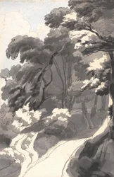 O bosque de castanheiros, perto de Rocca del Papa, perto do Lago Albano
