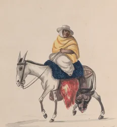 Um açougueiro montado num burro, a partir de um grupo de desenhos representando o traje peruano, ca. 1848.
