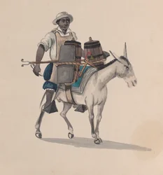 Um aquariofilista montado num burro, a partir de um grupo de desenhos representando o traje peruano, ca. 1848.