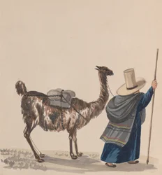 Uma mulher andando com uma lhama, de um grupo de desenhos representando trajes peruanos, ca. 1848.