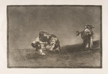 Ilustração 16 da Tauromaquia: O mesmo homem lança um touro no ringue em Madri., 1816.
