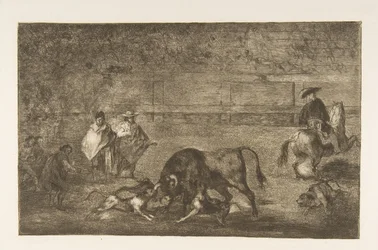 Ilustração C: Os cães se soltam no touro. 1816