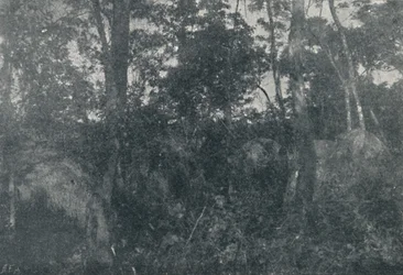 Cabanas de Índios, 1895