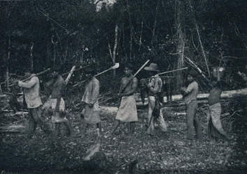 Indios Guaranys, voltando de uma caþada, 1895