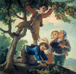 Meninos colhendo frutas