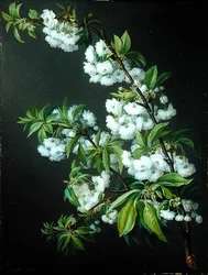 Um ramo de flor branca (óleo sobre tela)
