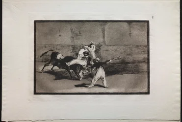 Touradas: um mouro colhido por um touro na arena, 1876.