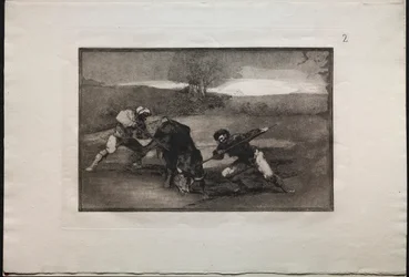 Touradas: Outra maneira de caçar a pé, 1876.