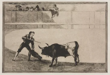 Touradas: Pedro Romeo Killing the Halted Bull, 1876.