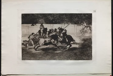 Touradas: The Forceful Rendon esfaqueia um touro com o pique, do qual ele morreu ..., 1876.