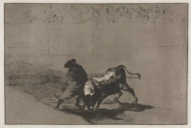 Touradas: o estudante muito habilidoso de Falces, embrulhado em sua capa, Tricks the Bull ..., 1876.