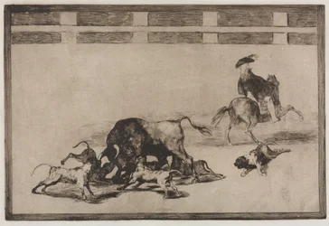 Touradas: eles perdem cães no touro, 1876.