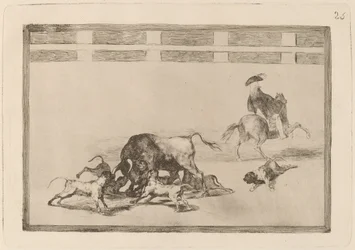 Echan perros al toro (Eles soltam cães no touro)