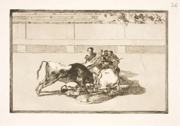 Um picador é jogado do cavalo e cai sob o touro