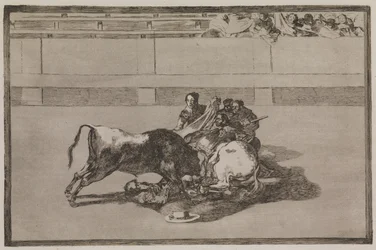 Um picador é jogado do cavalo e cai sob o touro