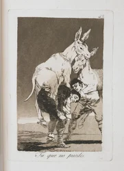 Prato de Los Caprichos, 1797-1798