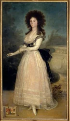 Retrato no pé de Dona Tadea Arias de Enriquez Pintura de Francisco de Goya (1746-1828) (Ec. Esp) Madrid do século XVIII. Musee Du Prado - Retrato integral de Dona Tadea Arias de Enriquez. Pintura de Francisco de Goya (1746-1828) (Escola Espanhola) Século X