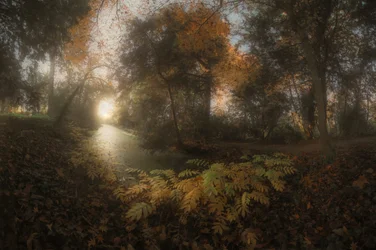 Caminho da Floresta Dourada