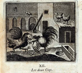 Os dois galos. Fábulas de Jean de La Fontaine (1621-95). Ilustração de François Chauveau (1613-1676). Edição de 1728.