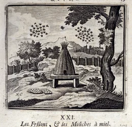Vespões e moscas de mel. Fábulas de Jean de La Fontaine (1621-95). Ilustração de François Chauveau (1613-1676). Edição de 1728.