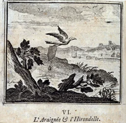 A Aranha e a Andorinha: Fábulas de Jean de La Fontaine (1621-95). Ilustração de François Chauveau (1613-1676). Edição de 1728.