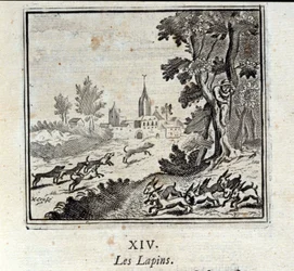 Coelhos. Fábulas de Jean de La Fontaine (1621-95). Ilustração de François Chauveau (1613-1676). Edição de 1728.
