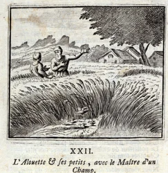 O Alouette e os seus pequenos com o Mestre de um campo. Fábulas de Jean de La Fontaine (1621-95). Ilustração de François Chauveau (1613-1676). Edição de 1728.
