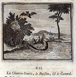 O Morcego, o Bush e o Pato. Fábulas de Jean de La Fontaine (1621-95). Ilustração de François Chauveau (1613-1676). Edição de 1728.