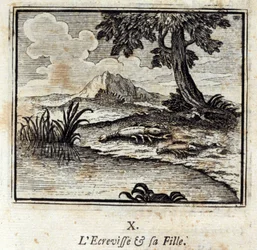 O Crevisse e a sua filha. Fábulas de Jean de La Fontaine (1621-95). Ilustração de François Chauveau (1613-1676). Edição de 1728.