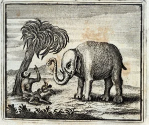 O Elefante e o Macaco de Júpiter. Fábulas de Jean de La Fontaine (1621-95). Ilustração de François Chauveau (1613-1676). Edição de 1728.