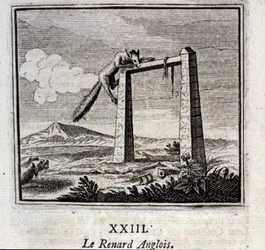 A Raposa Inglesa. Fábulas de Jean de La Fontaine (1621-95). Ilustração de François Chauveau (1613-1676). Edição de 1728.
