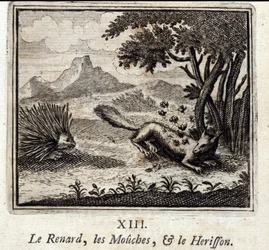 A Raposa, as Moscas e o Herisson. Fábulas de Jean de La Fontaine (1621-95). Ilustração de François Chauveau (1613-1676). Edição de 1728.