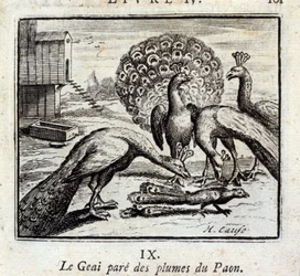 O Jay adorna as penas do pavão. Fábulas de Jean de La Fontaine (1621-95). Ilustração de François Chauveau (1613-1676). Edição de 1728.