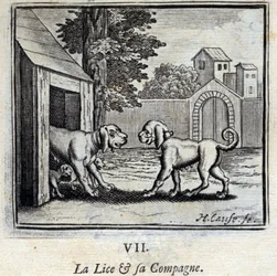 Os piolhos e a sua companheira. Fábulas de Jean de La Fontaine (1621-95). Ilustração de François Chauveau (1613-1676). Edição de 1728.
