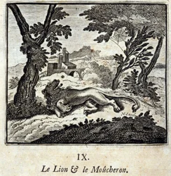 O Leão e o Apanhador de Moscas. Fábulas de Jean de La Fontaine (1621-95). Ilustração de François Chauveau (1613-1676). Edição de 1728.