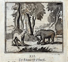 A Lioness e o Urso. Fábulas de Jean de La Fontaine (1621-95). Ilustração de François Chauveau (1613-1676). Edição de 1728.
