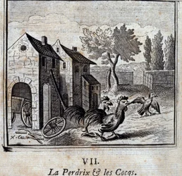 A perdiz e os galos. Fábulas de Jean de La Fontaine (1621-95). Ilustração de François Chauveau (1613-1676). Edição de 1728.