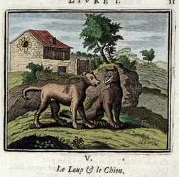 O Lobo e o Cão. Fábulas de Jean de La Fontaine (1621-1695). Ilustração de François Chauveau (1613-1676). Edição de 1728.
