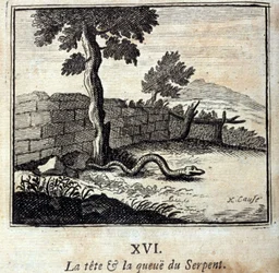 A cabeça e a cauda da Serpente. Fábulas de Jean de La Fontaine (1621-95). Ilustração de François Chauveau (1613-1676). Edição de 1728.