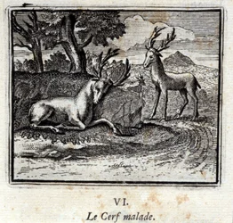 O veado doente. Fábulas de Jean de La Fontaine (1621-95). Ilustração de François Chauveau (1613-1676). Edição de 1728.