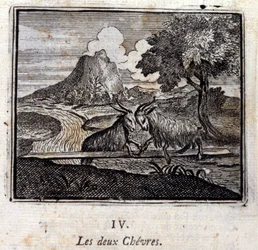 As duas cabras. Fábulas de Jean de La Fontaine (1621-95). Ilustração de François Chauveau (1613-1676). Edição de 1728.