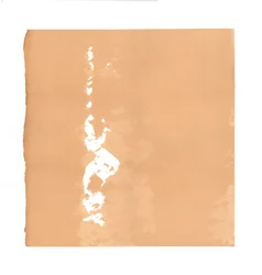 Dervixe rodopiante, 2015, serigrafia