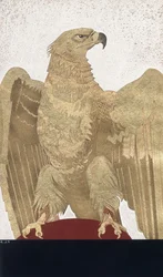 Uma águia imperial
