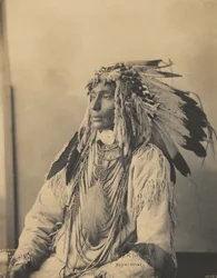 Kill Spotted Horse, Assiniboines, 1898 (impressão de platina em paládio)
