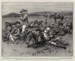 O cuidado de cavalos na África do Sul, fagged em uma marcha forçada